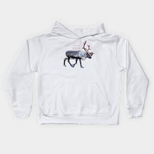 Santa Claus Reindeer Kids Hoodie